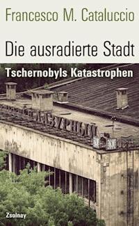 Die ausradierte Stadt - Francesco M. Cataluccio - ebook
