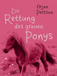 Die Rettung des grauen Ponys - Örjan Persson - ebook