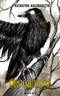 Droga dusz - Kaczmarczyk Katarzyna - ebook + książka
