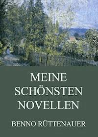 Meine schönsten Novellen - Benno Rüttenauer - ebook