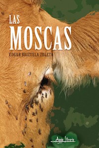 Las moscas - Edgar Brizuela Zuleta - ebook