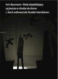 Kiedy dojeżdżający są jeszcze w drodze do domu - Baumann Iren - książka