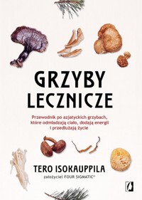 Grzyby lecznicze - Isokauppila Tero - książka