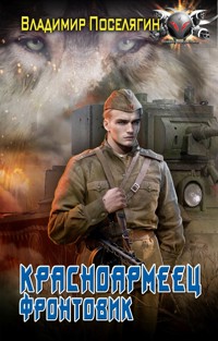 Красноармеец. Фронтовик - Владимир Поселягин - ebook