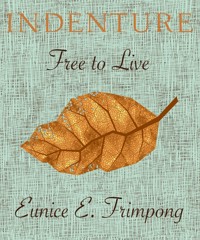 Indenture - Eunice E. Frimpong - ebook