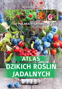 Atlas dzikich roślin jadalnych - Fijołek Monika - książka