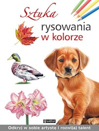 Sztuka rysowania w kolorze -  - książka