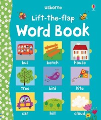 Lift-the-flap word book - Brooks Felicity - książka