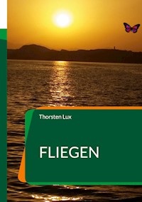Fliegen - Thorsten Lux - ebook