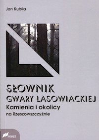 Słownik gwary lasowieckiej Kamienia i okolicy na Rzeszowszczyźnie - Kutyła Jan - książka
