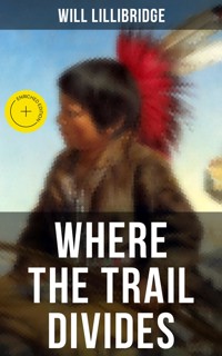 Where the Trail Divides - Lillibridge Will - ebook
