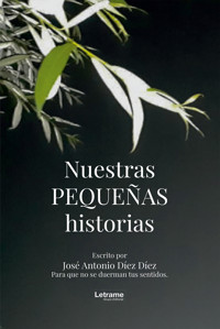 Nuestras pequeñas historias - José Antonio Díez Díez - ebook