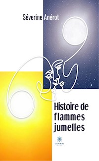 Histoire de flammes jumelles - Séverine Anérot - ebook