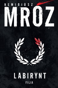 Labirynt - Remigiusz Mróz - ebook + audiobook + książka