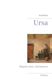 Ursa - Arnd Baier - ebook