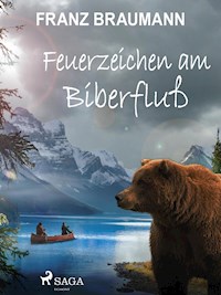 Feuerzeichen am Biberfluß - Franz Braumann - ebook