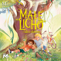 Małe Licho i lato z diabłem - Marta Kisiel - ebook + audiobook + książka