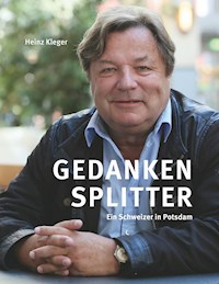Gedankensplitter - Heinz Kleger - ebook