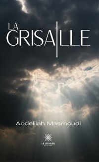 La grisaille - Abdelilah Masmoudi - ebook