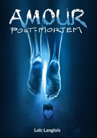 amour post-mortem - Loïc Langlois - ebook