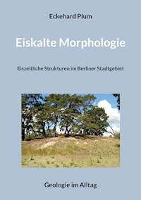 Eiskalte Morphologie - Eckehard Plum - ebook