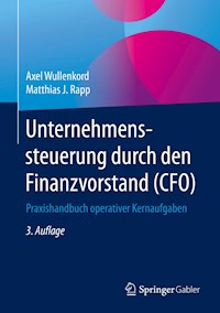 Unternehmenssteuerung durch den Finanzvorstand (CFO) - Matthias J. Rapp - ebook