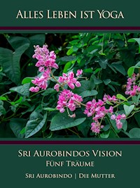 Sri Aurobindos Vision - Sri Aurobindo - ebook