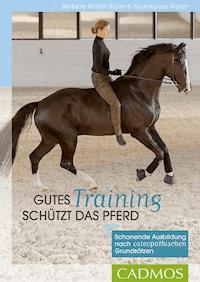 Gutes Training schützt das Pferd - Barbara Welter-Böller - ebook
