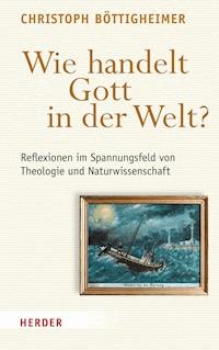 Wie handelt Gott in der Welt? - Christoph Böttigheimer - ebook