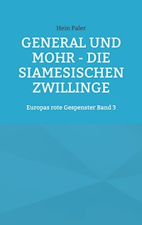 General und Mohr - Die siamesischen Zwillinge - Hein Paler - ebook