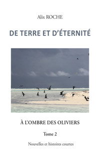 De terre et d’éternité - Alix Roche - ebook