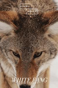 White Fang - Jack London - ebook