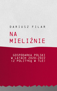 Na mieliźnie - Filar Dariusz - książka