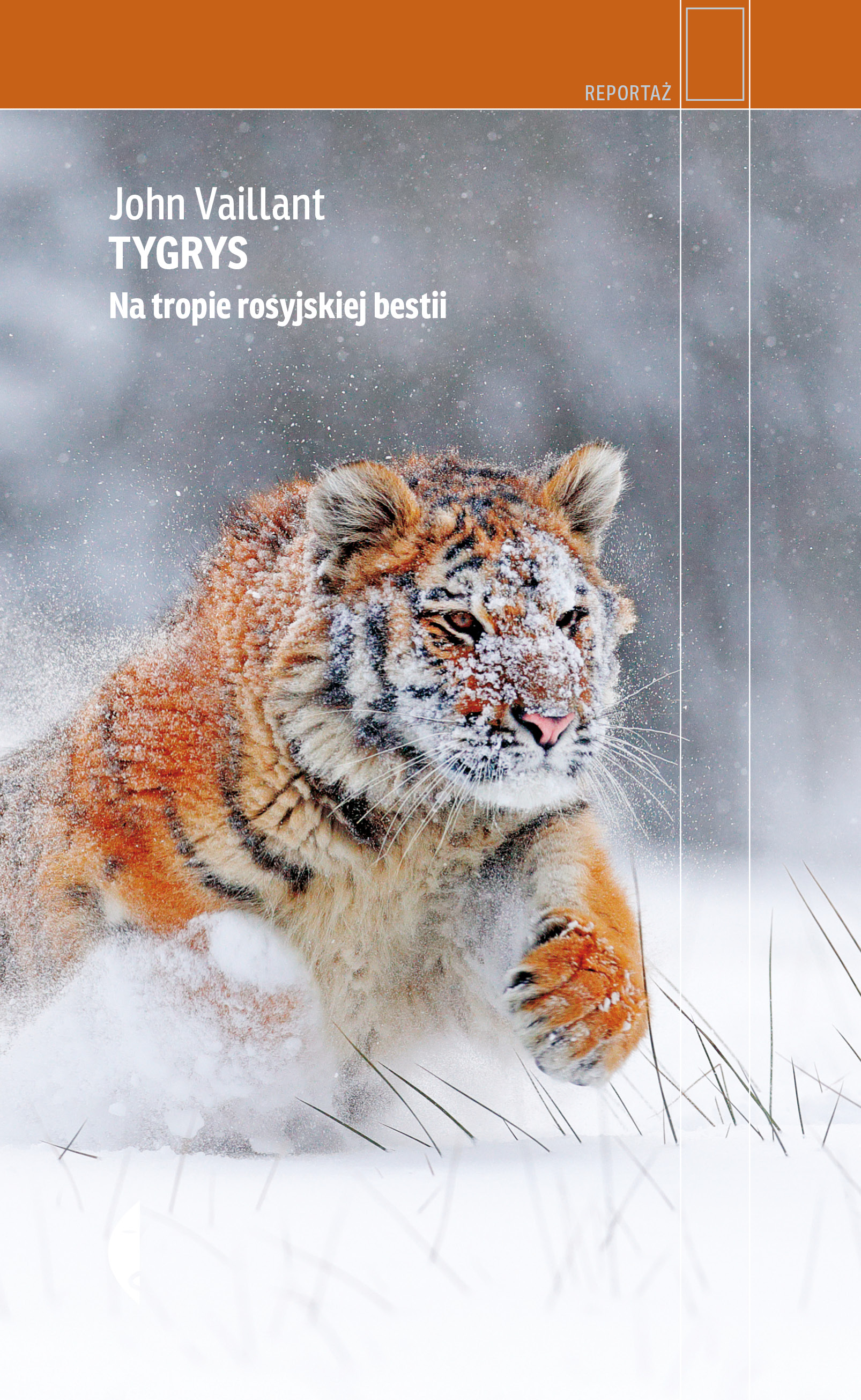 Okładka:Tygrys. Na tropie rosyjskiej bestii 