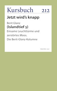 Einsame Leuchttürme und zerstörtes Moos - Berit Glanz - ebook