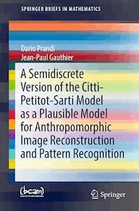 A Semidiscrete Version of the Citti-Petitot-Sarti Model as a Plausible Model for Anthropomorphic Image Reconstruction and Pattern Recognition - Dario Prandi - ebook