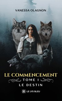 Le commencement - Vanessa Olagnon - ebook