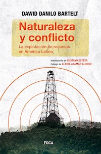 Naturaleza y conflicto - Danilo Bartelt Dawid - ebook