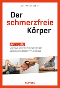 Der schmerzfreie Körper - Stefan Wegener - ebook