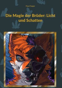 Die Magie der Brüder: Licht und Schatten - Foxy Fangor - ebook