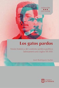 Los gatos pardos - José Rodríguez Iturbe - ebook