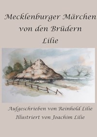 Mecklenburger Märchen von den Brüdern Lilie - Reinhold Lilie - ebook