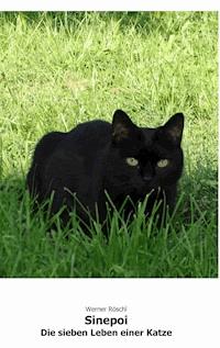 Sinepoi - Werner Röschl - ebook