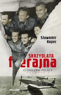 Skrzydlata ferajna - Sławomir Koper - ebook + audiobook + książka