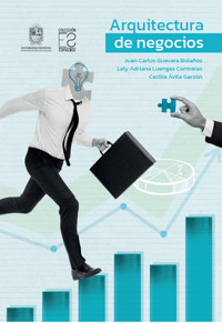 Arquitectura de negocios - Juan Carlos Guevara Bolaños - ebook