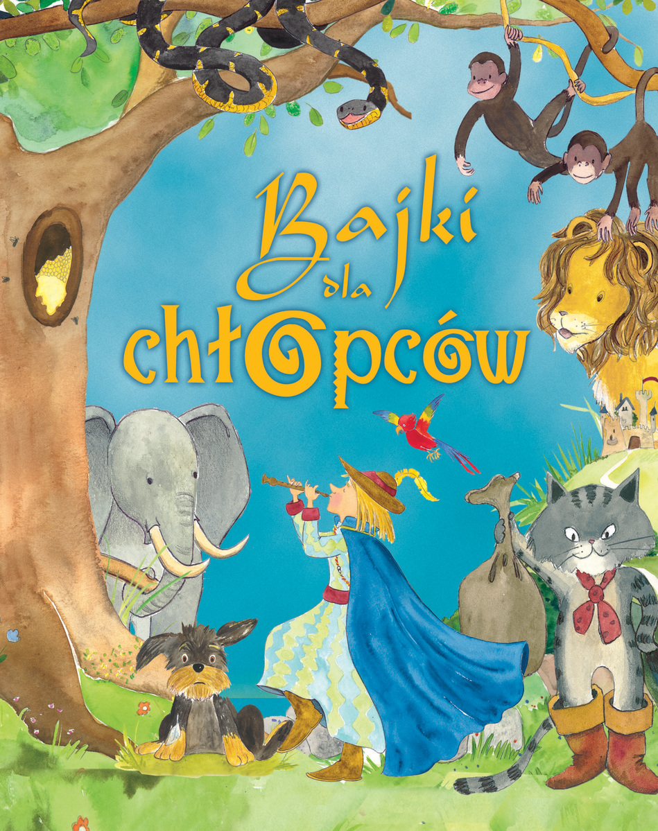 Bajki dla chłopców - Joanna Gaca (tłum.) - książka