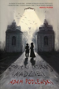 Zaułki dobrej nadziei - Adam Podlewski - książka