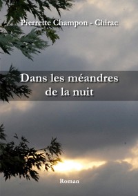 Dans les méandres de la nuit - Pierrette Champon - Chirac - ebook
