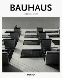 Bauhaus - Droste Magdalena - książka