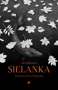Sielanka - Ollikainen Aki - ebook + książka